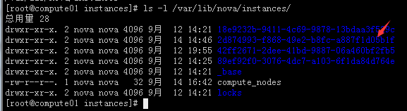 图片.png
